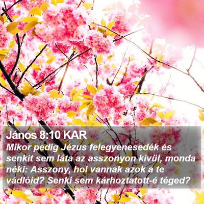 János 8:10 KAR Bible Verse Image