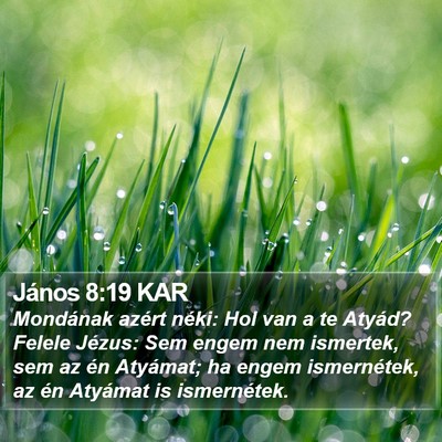 János 8:19 KAR Bible Verse Image