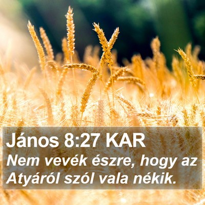János 8:27 KAR Bible Verse Image
