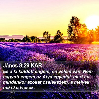 János 8:29 KAR Bible Verse Image