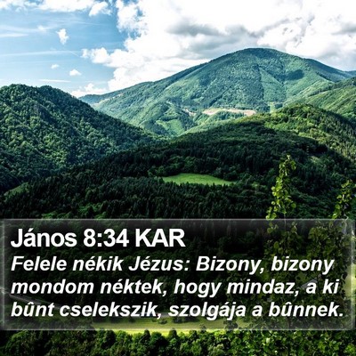 János 8:34 KAR Bible Verse Image