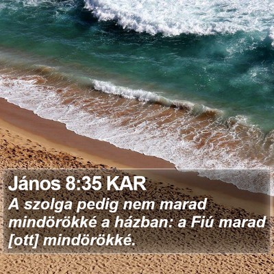 János 8:35 KAR Bible Verse Image