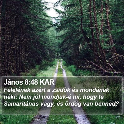 János 8:48 KAR Bible Verse Image
