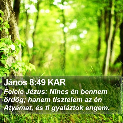 János 8:49 KAR Bible Verse Image
