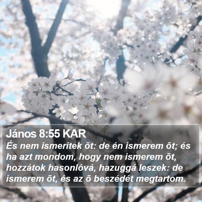 János 8:55 KAR Bible Verse Image