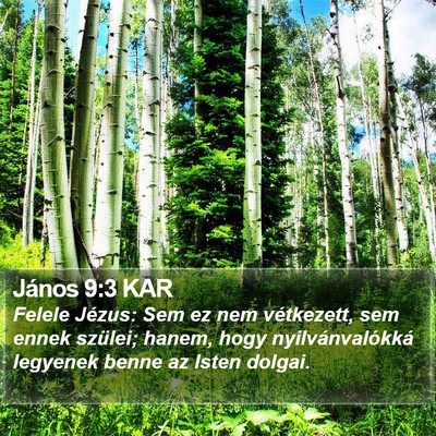 János 9:3 KAR Bible Verse Image