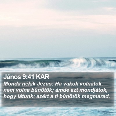 János 9:41 KAR Bible Verse Image