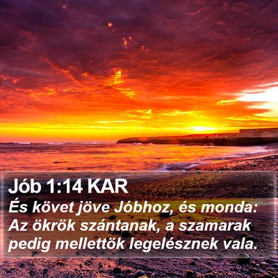 Jób 1:14 KAR Bible Verse Image