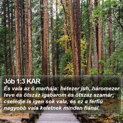 Jób 1:3 KAR Bible Verse Image