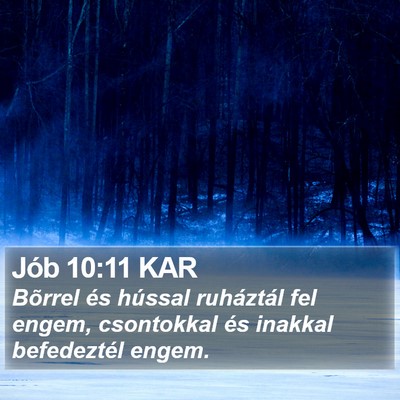 Jób 10:11 KAR Bible Verse Image