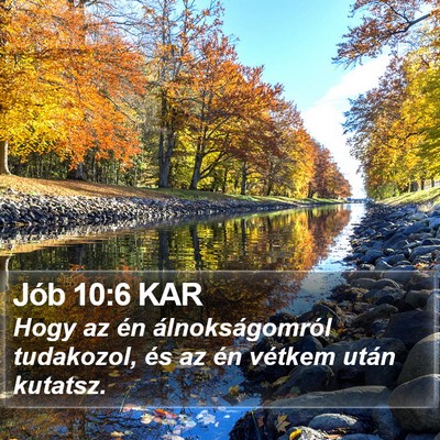 Jób 10:6 KAR Bible Verse Image