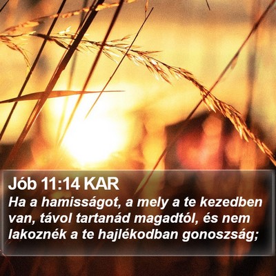 Jób 11:14 KAR Bible Verse Image