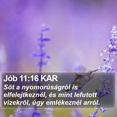 Jób 11:16 KAR Bible Verse Image