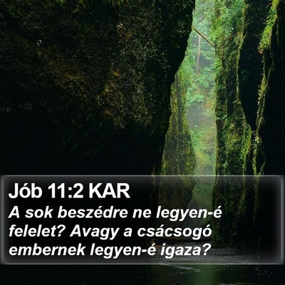 Jób 11:2 KAR Bible Verse Image