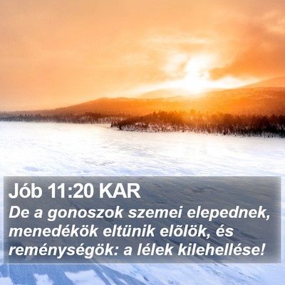 Jób 11:20 KAR Bible Verse Image