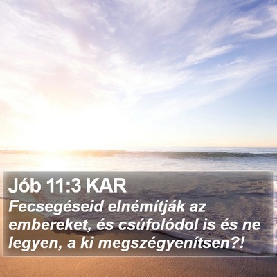 Jób 11:3 KAR Bible Verse Image
