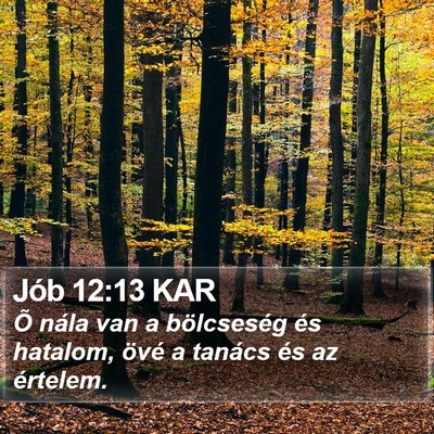 Jób 12:13 KAR Bible Verse Image