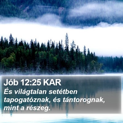 Jób 12:25 KAR Bible Verse Image