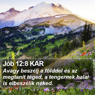 Jób 12:8 KAR Bible Verse Image