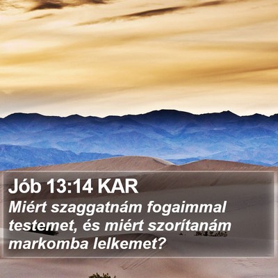 Jób 13:14 KAR Bible Verse Image
