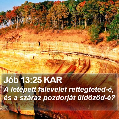Jób 13:25 KAR Bible Verse Image