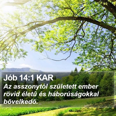 Jób 14:1 KAR Bible Verse Image