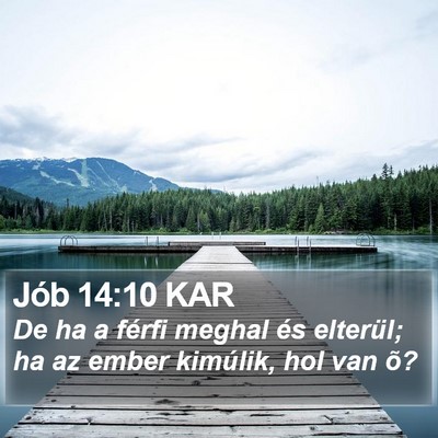 Jób 14:10 KAR Bible Verse Image
