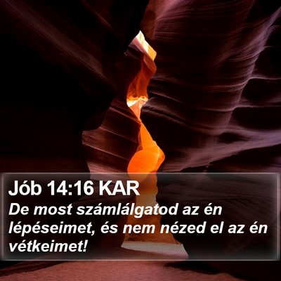 Jób 14:16 KAR Bible Verse Image