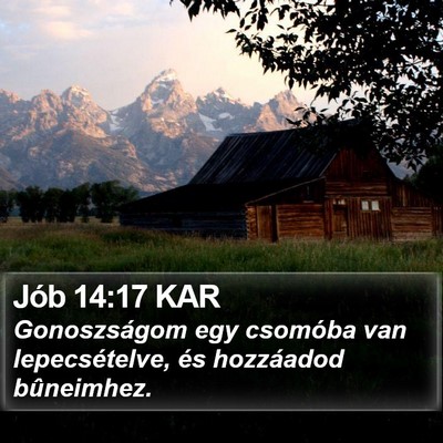 Jób 14:17 KAR Bible Verse Image