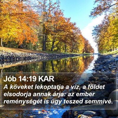 Jób 14:19 KAR Bible Verse Image