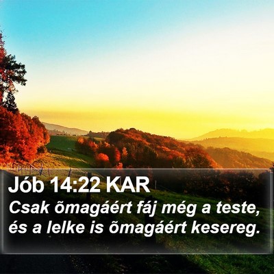 Jób 14:22 KAR Bible Verse Image