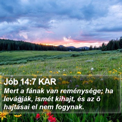 Jób 14:7 KAR Bible Verse Image