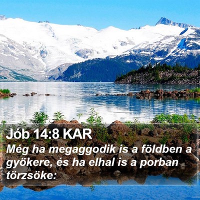 Jób 14:8 KAR Bible Verse Image