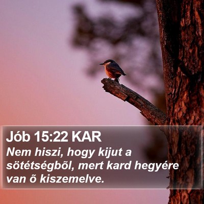 Jób 15:22 KAR Bible Verse Image