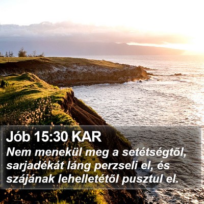 Jób 15:30 KAR Bible Verse Image