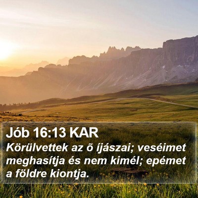 Jób 16:13 KAR Bible Verse Image