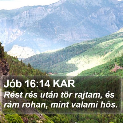 Jób 16:14 KAR Bible Verse Image