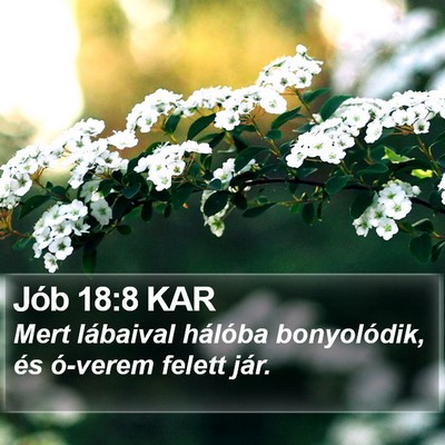 Jób 18:8 KAR Bible Verse Image