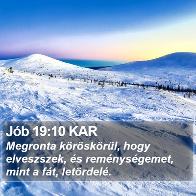 Jób 19:10 KAR Bible Verse Image