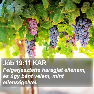 Jób 19:11 KAR Bible Verse Image