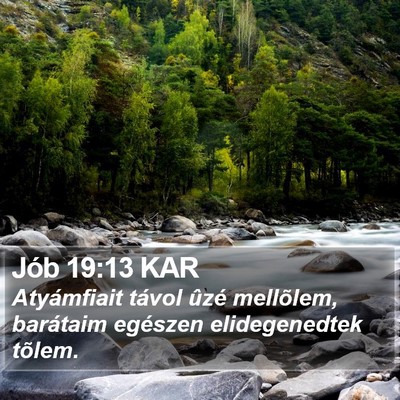 Jób 19:13 KAR Bible Verse Image