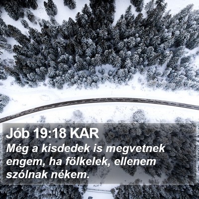 Jób 19:18 KAR Bible Verse Image