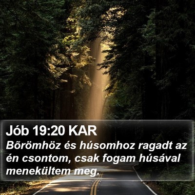 Jób 19:20 KAR Bible Verse Image