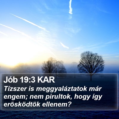 Jób 19:3 KAR Bible Verse Image