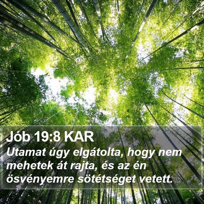 Jób 19:8 KAR Bible Verse Image