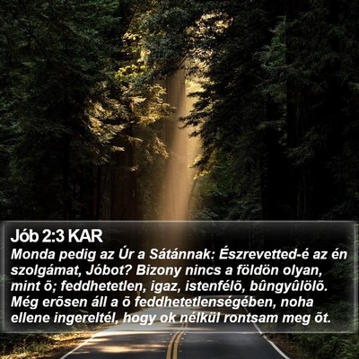 Jób 2:3 KAR Bible Verse Image