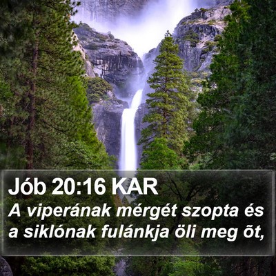 Jób 20:16 KAR Bible Verse Image