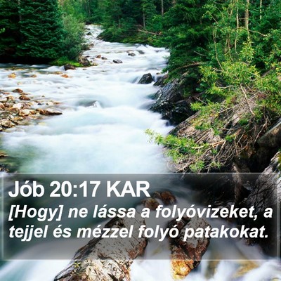 Jób 20:17 KAR Bible Verse Image