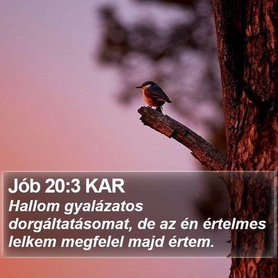 Jób 20:3 KAR Bible Verse Image