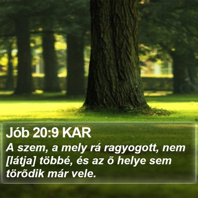 Jób 20:9 KAR Bible Verse Image